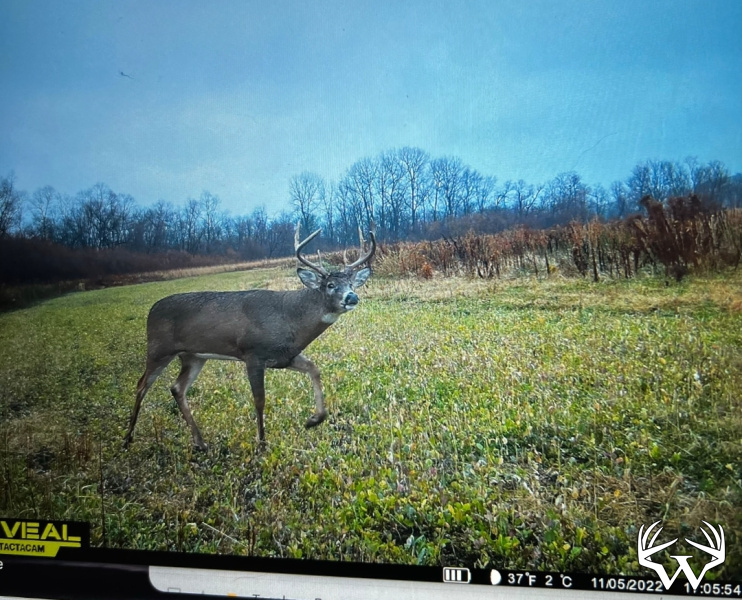 Weiss Realty 92.8 Acres Buffalo County