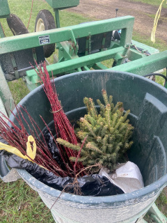 Mixtureoftreesandshrubsforhabitatdiversity.WeissRealty.jpg