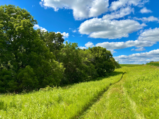 WellMaintainedTrail.WeissRealty.jpg