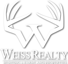 Weiss Realty LLC
