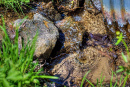 02-DSC07997.png