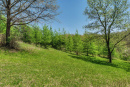 03-DSC08003.png