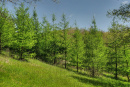 04-DSC08004.png