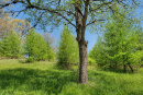 05-DSC08005.png