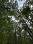 05IMG_1426.JPEG
