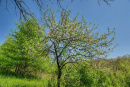 06-DSC08007.png