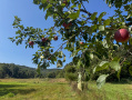 1-IMG_1346.jpg