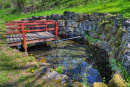 10-DSC08014.jpg