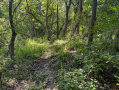 10-IMG_1362.jpg