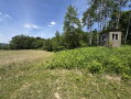 10-IMG_3321.jpg