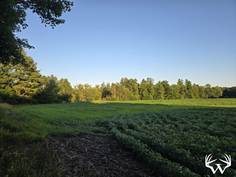 1000014225.jpg