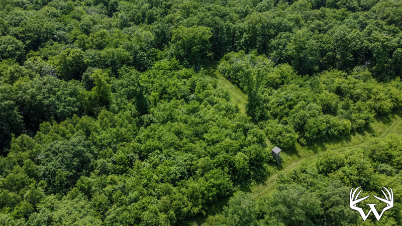 108-DJI_0699.jpg
