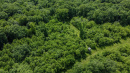 108-DJI_0699.jpg