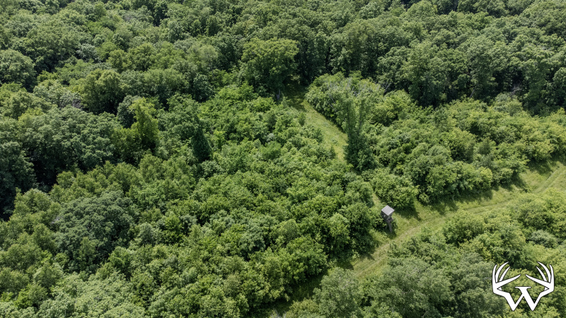 109-DJI_0699.jpg
