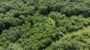 109-DJI_0699.jpg