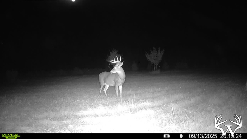 10pt_2.jpg
