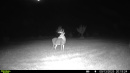 10pt_2.jpg