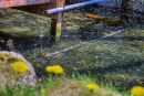 11-DSC08016.png