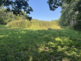 11-IMG_1364.jpg