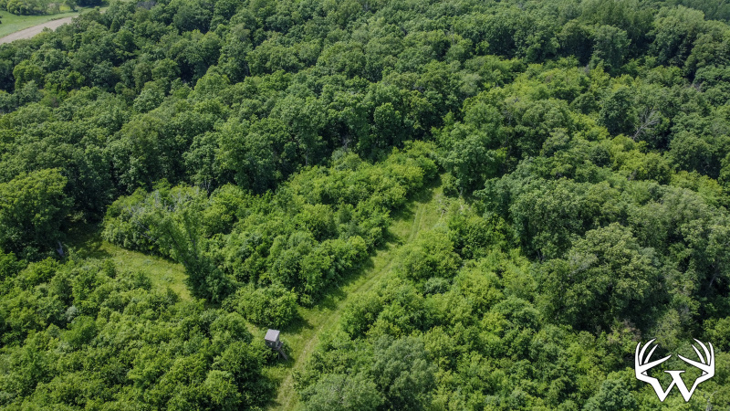 110-DJI_0700.jpg