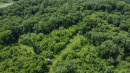 110-DJI_0700.jpg