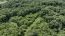 111-DJI_0700.jpg