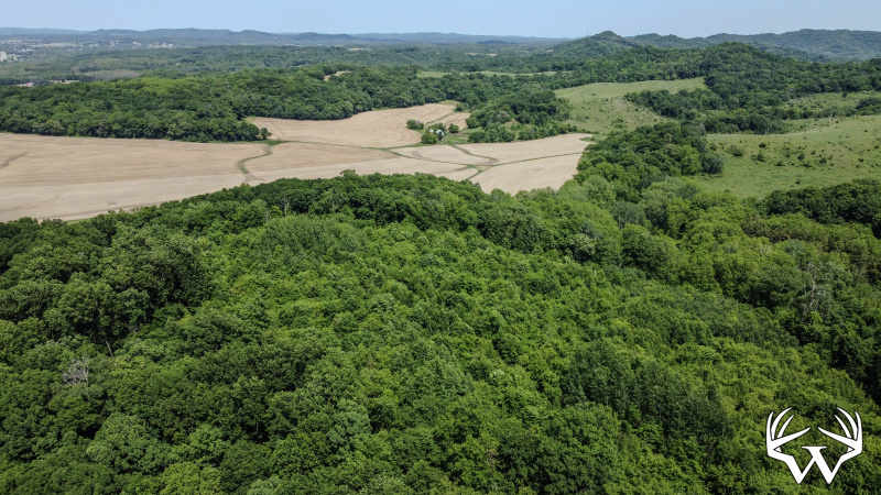112-DJI_0701.jpg