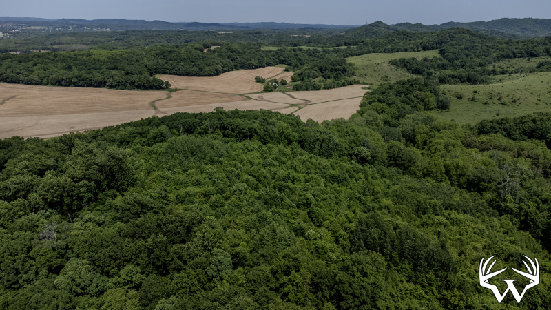 113-DJI_0701.jpg