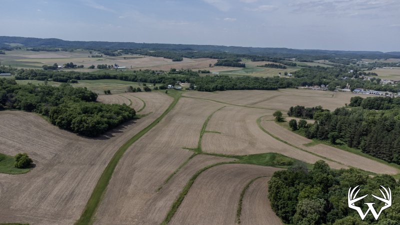 115-DJI_0702.jpg