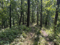 12-IMG_1365.jpg