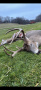 12-IMG_1866.jpg