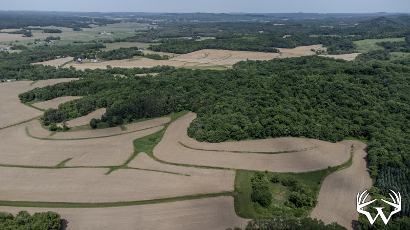 121-DJI_0705.jpg