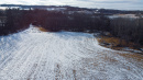 13-DJI_0981.jpg