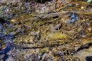 13-DSC08019.png