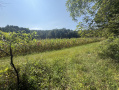 13-IMG_1367.jpg