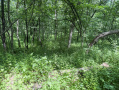13-IMG_3324_1.jpg