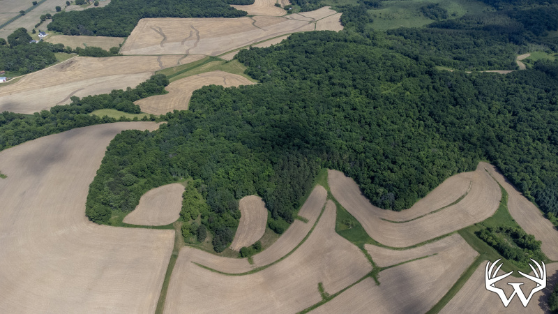 131-DJI_0710.jpg