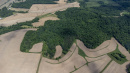 131-DJI_0710.jpg