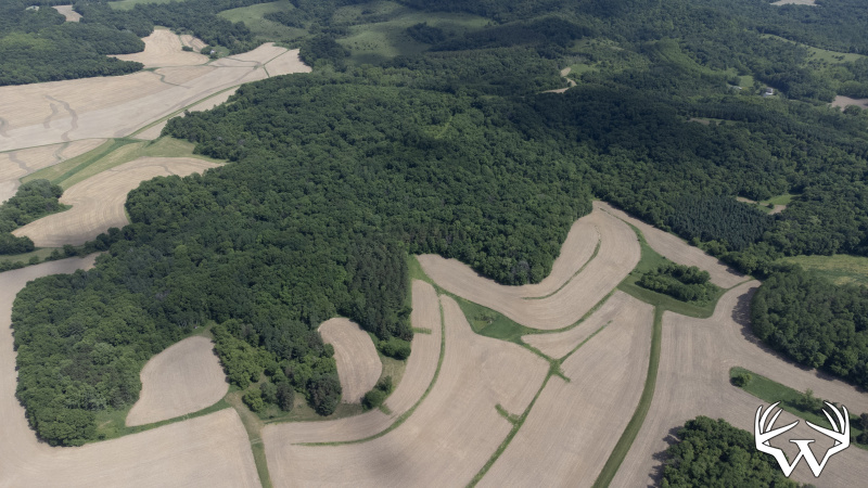 135-DJI_0712.jpg