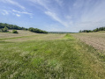 138-IMG_3391.jpg