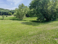 139-IMG_3392.jpg