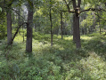14-IMG_1132.jpg