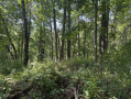 14-IMG_1370.jpg