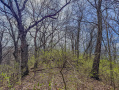 14-IMG_3037.jpg