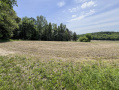 14-IMG_3325.jpg