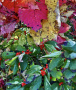 14-IMG_5110.jpg
