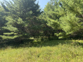 15-IMG_1372.jpg