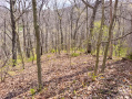 15-IMG_3039.jpg