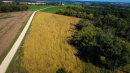 16-DJI_0275.jpg