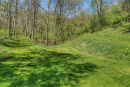 16-DSC08022.png